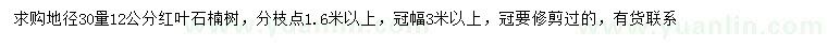 求購30量12公分紅葉石楠