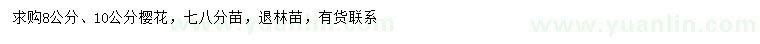 求購8、10公分櫻花