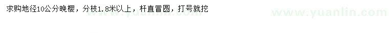 求購地徑10公分晚櫻
