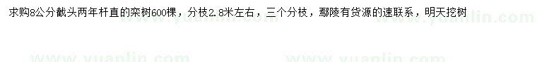 求購(gòu)8公分欒樹