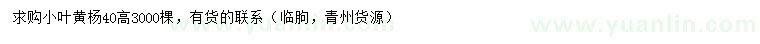 求購高40公分小葉黃楊
