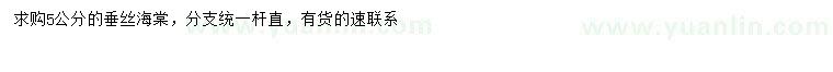 求購5公分垂絲海棠