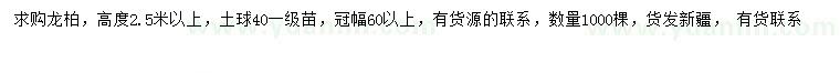 求購高2.5米以上龍柏