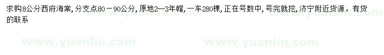 求購8公分西府海棠
