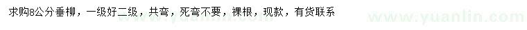 求購8公分垂柳
