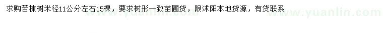 求購(gòu)米徑11公分左右苦楝樹(shù)