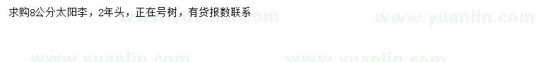 求購(gòu)8公分太陽(yáng)李