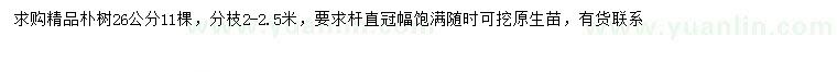 求購(gòu)26公分樸樹(shù)