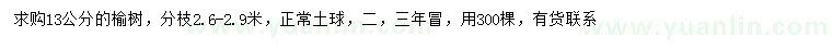 求購13公分榆樹