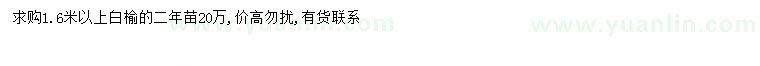 求購1.6米以上白榆