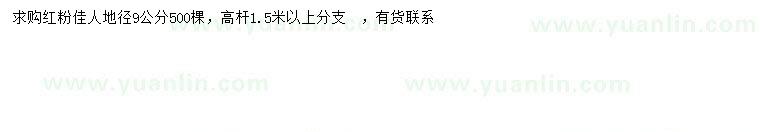 求購地徑9公分紅粉佳人