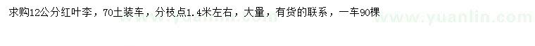 求購(gòu)12公分紅葉李