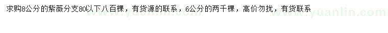 求購6、8公分紫薇