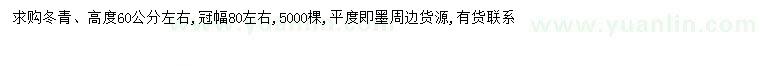 求購(gòu)高60公分左右冬青