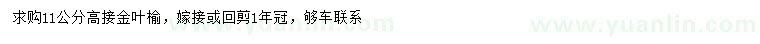 求購11公分高接金葉榆