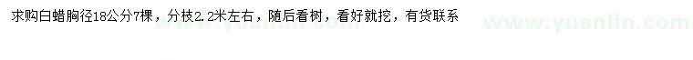 求購(gòu)胸徑18公分白蠟