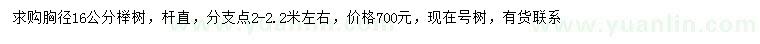 求購胸徑16公分櫸樹