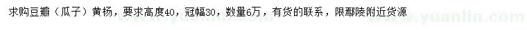 求購高40公分瓜子黃楊、豆瓣黃楊