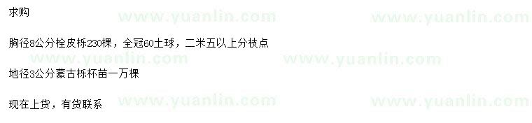 求購8公分栓皮櫟、地徑3公分蒙古櫟