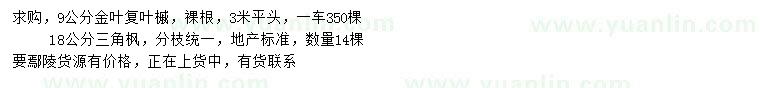 求購(gòu)9公分金葉復(fù)葉槭、18公分三角楓