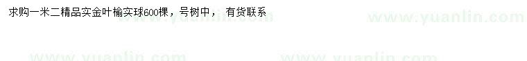 求購1.2米金葉榆球