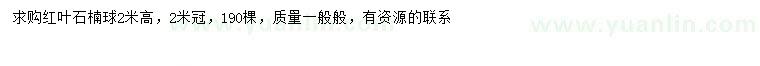求購(gòu)高2米紅葉石楠球