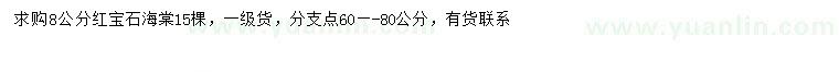 求購8公分紅寶石海棠