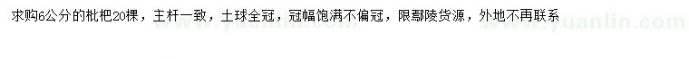 求購6公分枇杷