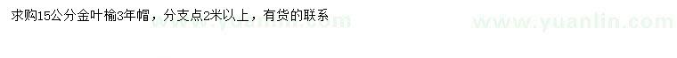 求購15公分金葉榆
