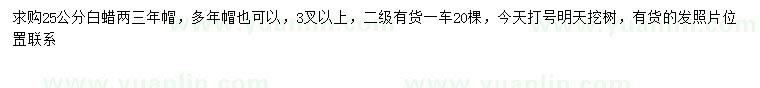 求購25公分白蠟