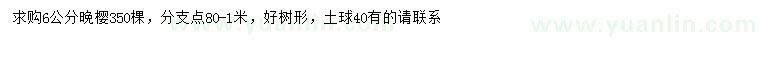 求購6公分晚櫻