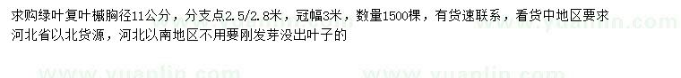 求購胸徑11公分綠葉復葉槭