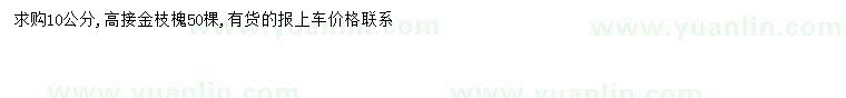 求購10公分高接金枝槐