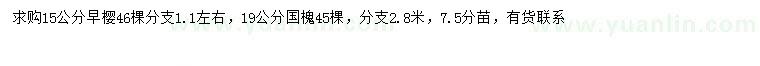 求購15公分早櫻、19公分國槐
