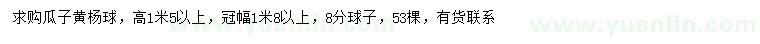 求購冠幅1.8米以上瓜子黃楊球