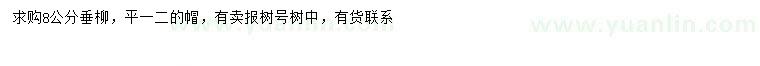 求購8公分垂柳