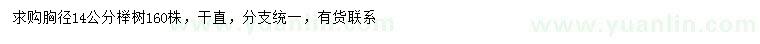 求購胸徑14公分櫸樹