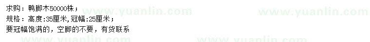 求購(gòu)高35公分鴨腳木