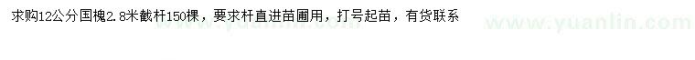 求購12公分國槐