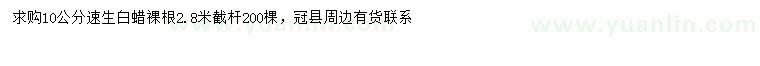 求購10公分速生白蠟