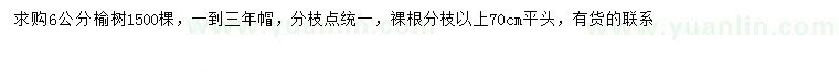 求購6公分榆樹