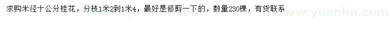 求購米徑10公分桂花