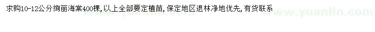 求購10-12公分絢麗海棠