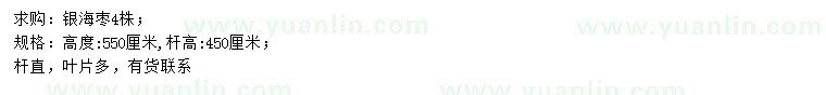 求購(gòu)高550公分銀海棗