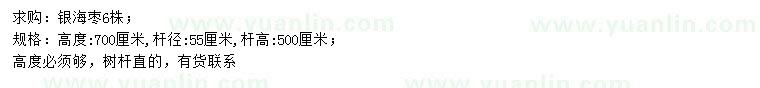 求購(gòu)高700公分銀海棗