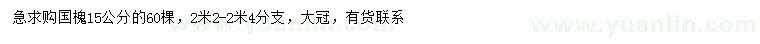 求購15公分國槐