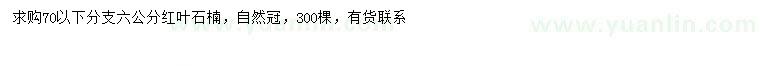 求購6公分紅葉石楠