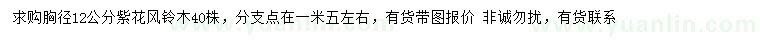 求購(gòu)胸徑12公分紫花風(fēng)鈴木