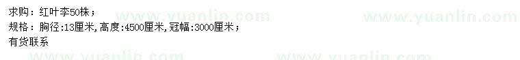 求購胸徑13公分紅葉李
