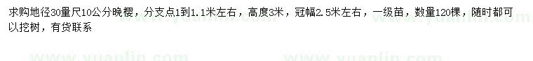 求購30量10公分晚櫻